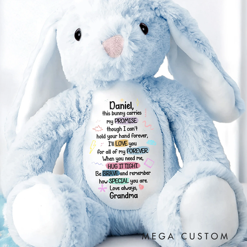 Personalized This Bunny Carries My Promise Love You Forever Stuffed Bunny Gift for Grandchildren