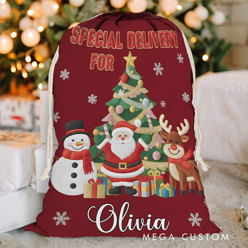 Personalized Christmas Gift Sack with Santa and Friends Design Featuring Custom Name Perfect for Holiday Cheer Christmas Bag