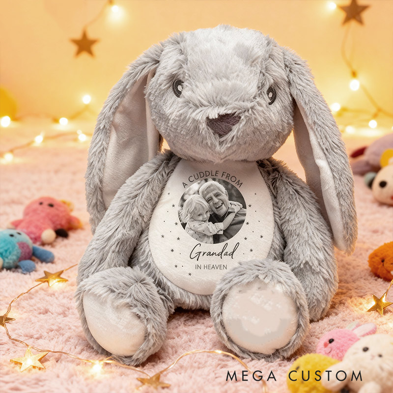 Personalized Memory Soft Toy for Baby Kids A Cuddle From Heaven Memorial Photo Gift Bereavement Loss of Loved One Sympathy Gift Grandparent in Heaven