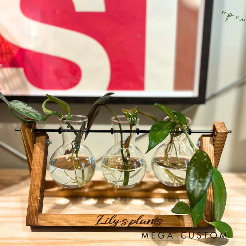 Personalized Plant Propagation Station Plant Gift Desk Decor for Gardener and Gardening Lovers