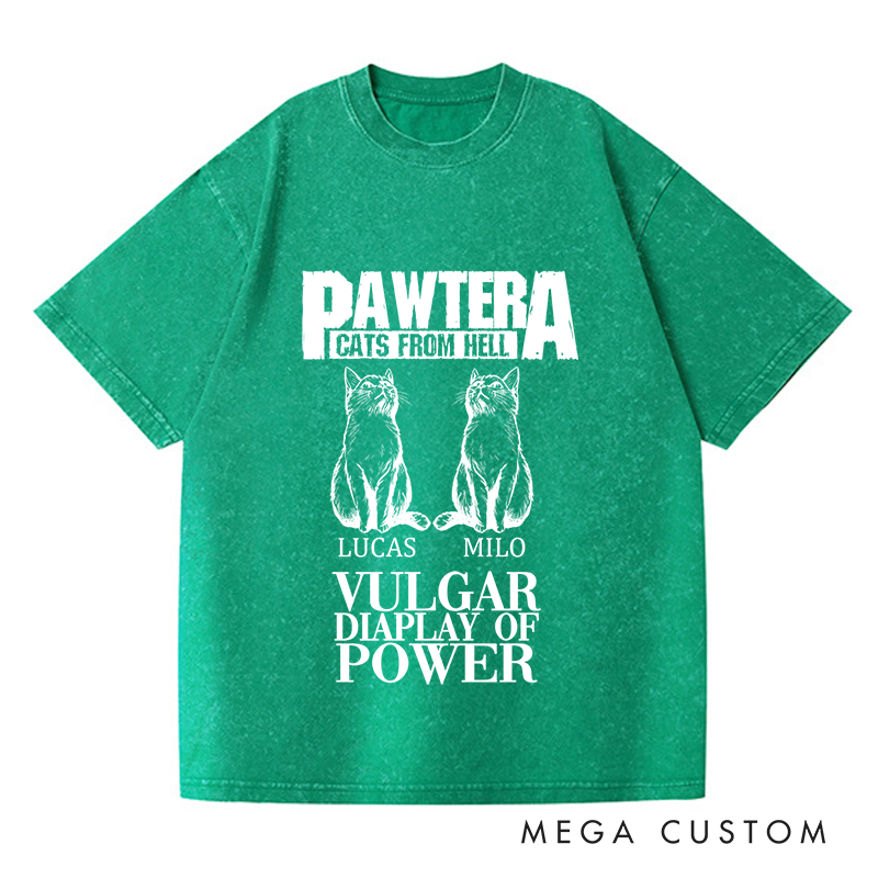 Personalized Washed T-Shirts Pawtera Cats from Hell Vulgar Display of Power T-Shirt