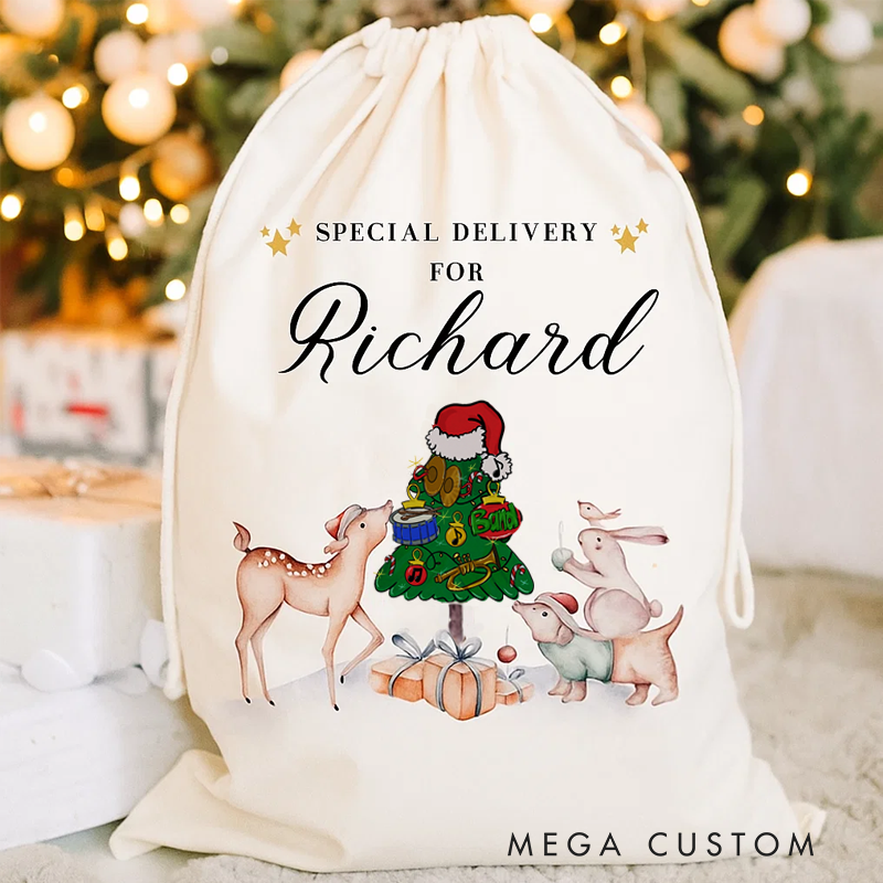 Personalised Christmas Eve Box Ballerina Reindeer Gift Bag for Kids Christmas Special Delivery Christmas Santa Sack with Name