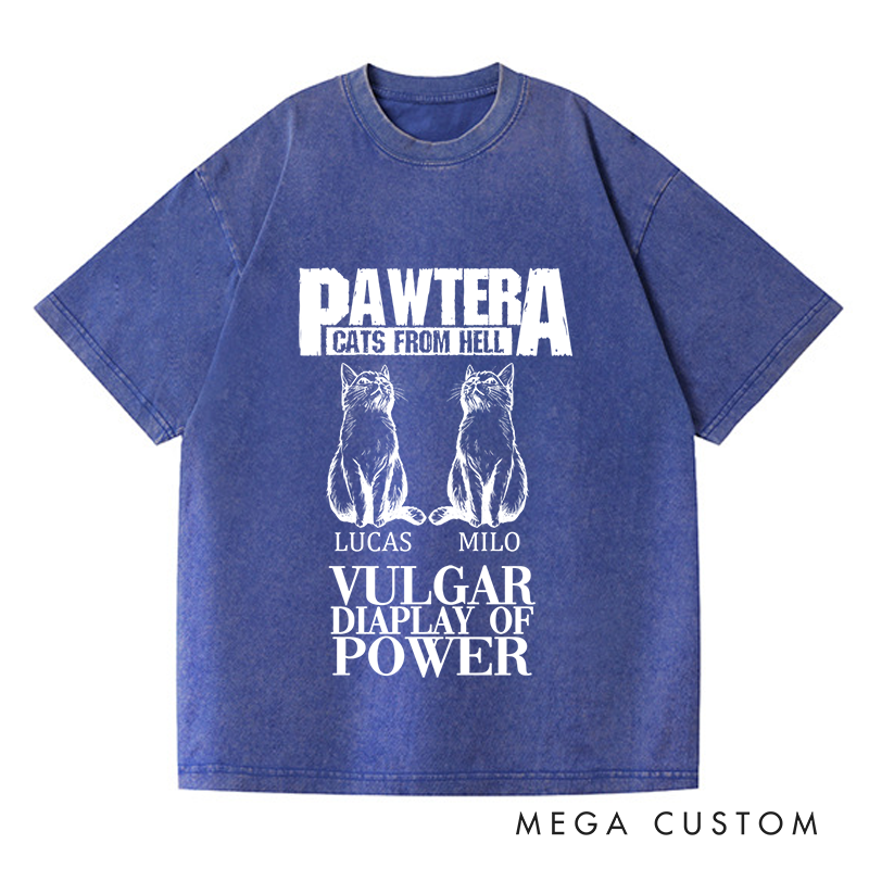 Personalized Washed T-Shirts Pawtera Cats from Hell Vulgar Display of Power T-Shirt