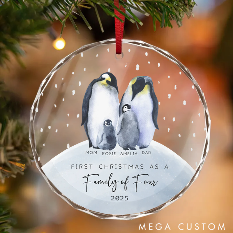 Personalized Family Christmas Ornaments Spreading Holiday Happiness with Personalized Designs for Our Quartet