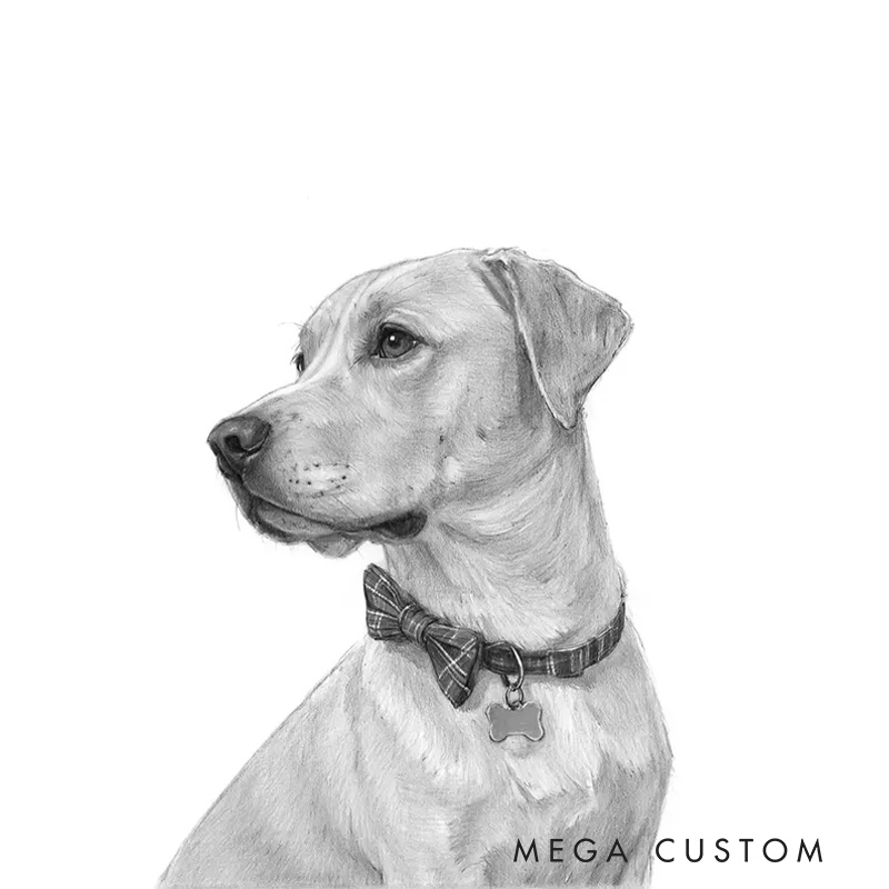 Personalized Pencil Sketch Wall Art For Dog and Cat Lovers Poster Without Frame Custom Art Lover Gift Custom Pet Portrait