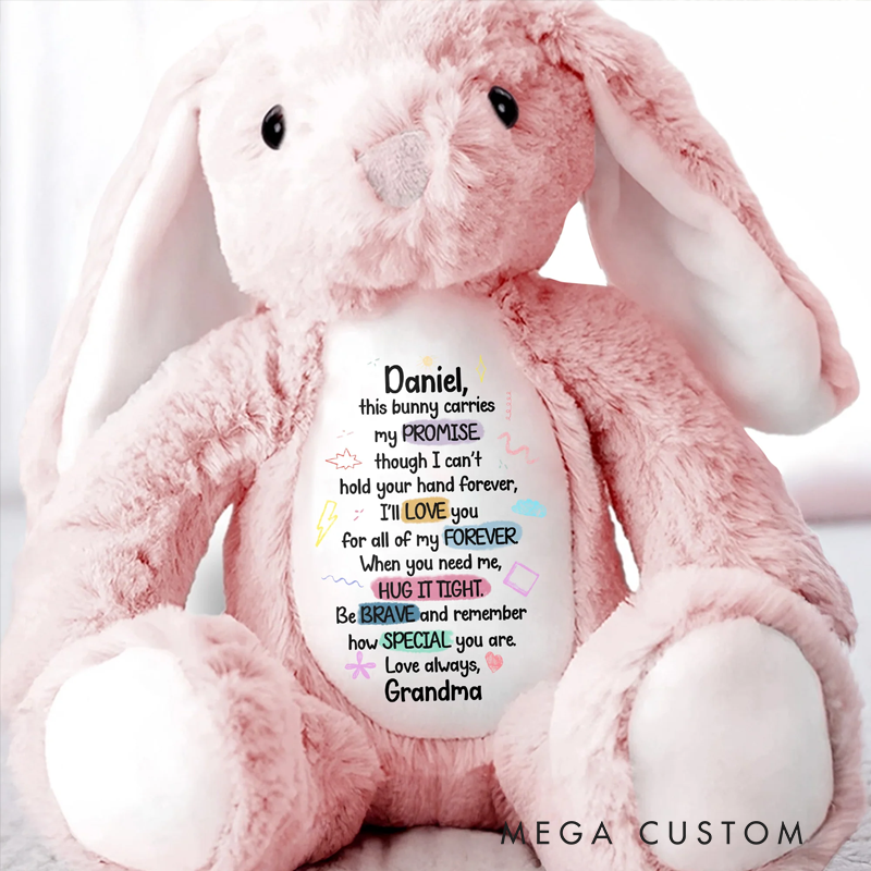 Personalized This Bunny Carries My Promise Love You Forever Stuffed Bunny Gift for Grandchildren
