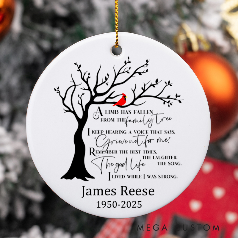 Personalized Memorial Ornament Sympathy Gifts for Loss of Loved On Condolence Bereavement Gifts in Memory Ornament Keepsake Christmas Remembrance