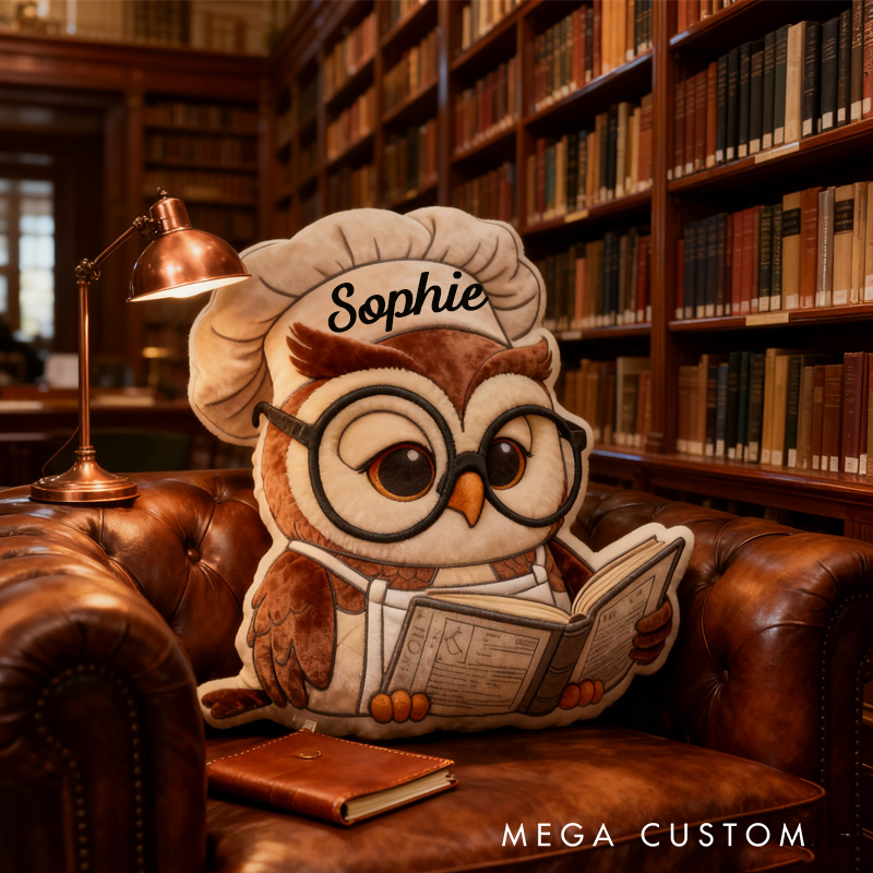 Personalized Reading Owl Throw Pillow Baking Owl Pillow Fantasy Bookish Pillow with Name for Kids Boy Girl Gift for Reading Lover Pillow