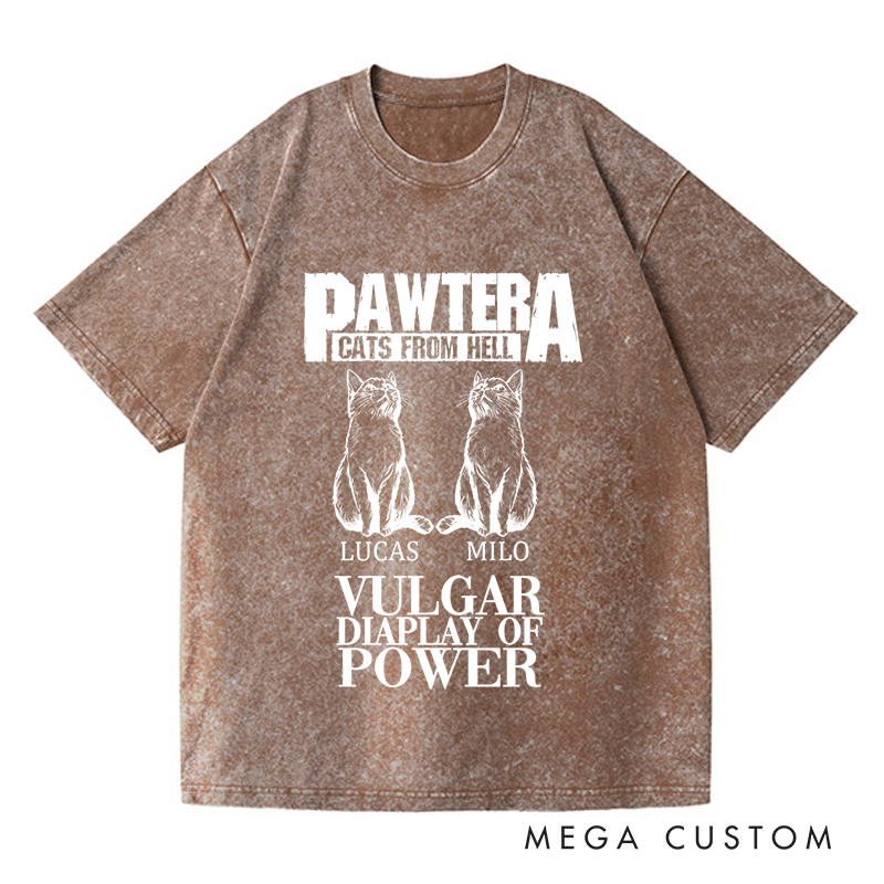 Personalized Washed T-Shirts Pawtera Cats from Hell Vulgar Display of Power T-Shirt