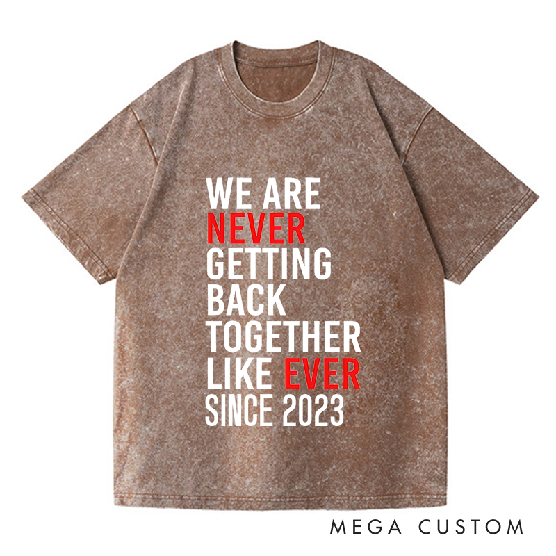 Personalized Washed T-Shirts We Are Never Ever Getting Back Together like Ever Since 2023 T-Shirt