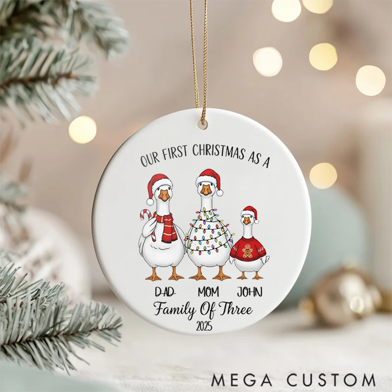 Personalized Family Christmas Ornaments Creating Joyful Memories with Our Festive Goose Family