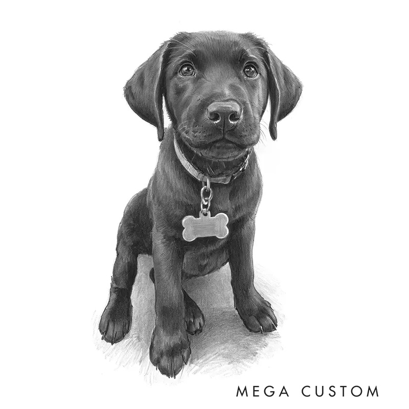 Personalized Pencil Sketch Wall Art For Dog and Cat Lovers Poster Without Frame Custom Art Lover Gift Custom Pet Portrait
