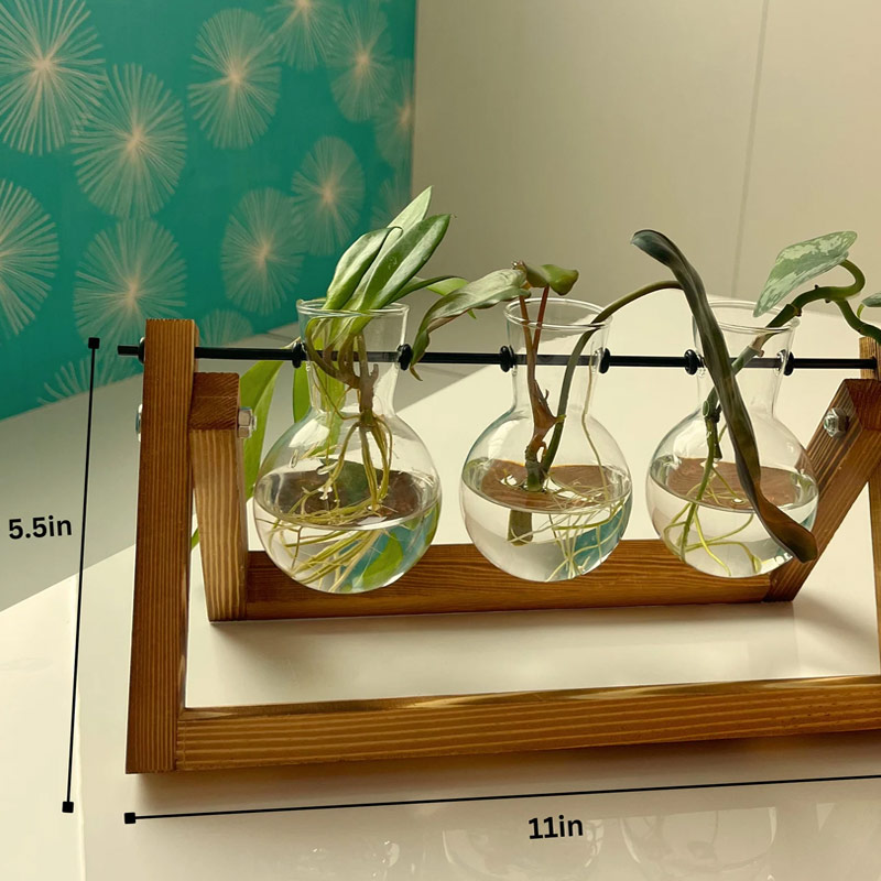 Personalized Plant Propagation Station Plant Gift Desk Decor for Gardener and Gardening Lovers
