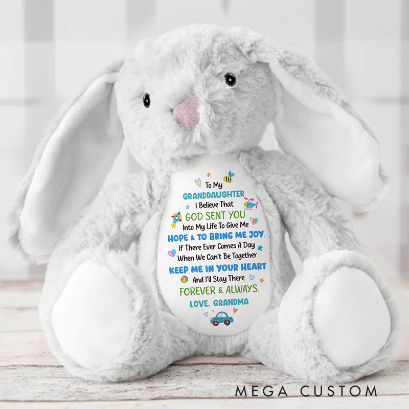 Personalized God Sent You into My Life to Give Me Hope and Joy Cute Rabbit Plush Stuffed Animal Toy with Title Granddaughter Gift from Grandma
