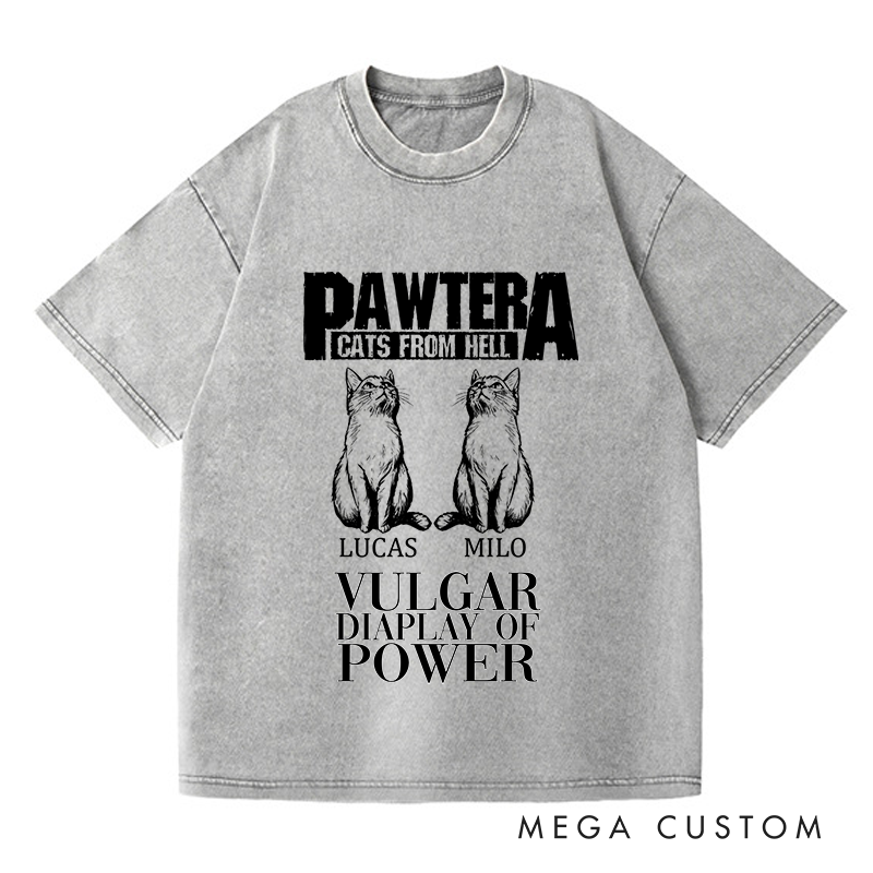 Personalized Washed T-Shirts Pawtera Cats from Hell Vulgar Display of Power T-Shirt
