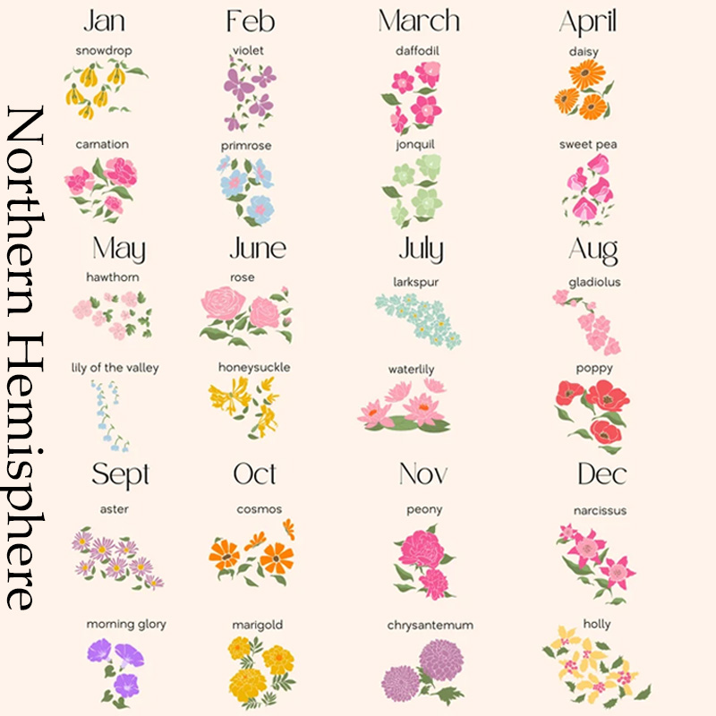 Personalized Minimalist Birth Flower Family Bouquet Wall Art Illustration Birth Flower Poster Without Frame Custom Art