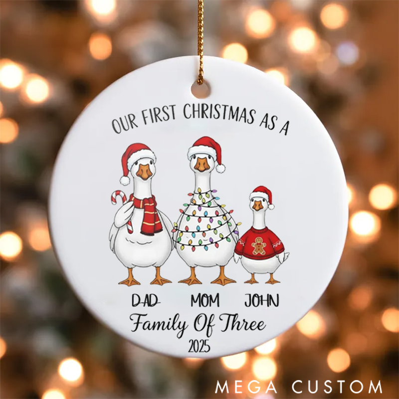Personalized Family Christmas Ornaments Creating Joyful Memories with Our Festive Goose Family