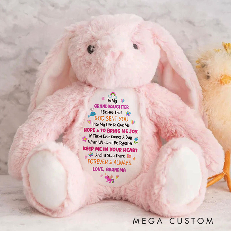 Personalized God Sent You into My Life to Give Me Hope and Joy Cute Rabbit Plush Stuffed Animal Toy with Title Granddaughter Gift from Grandma