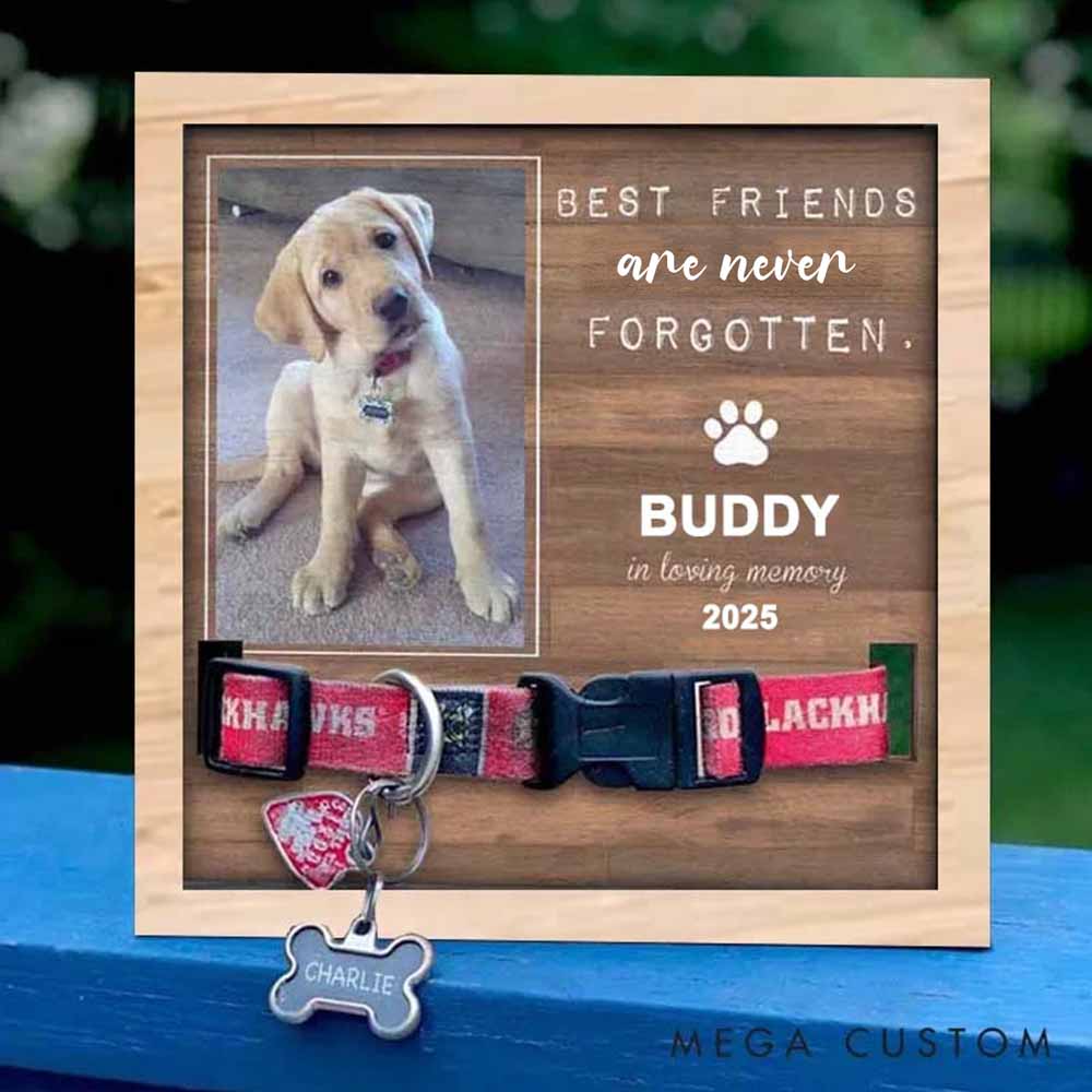 Personalized Pet Lover You Were My Favorite Hello and My Hardest Goodbye Pet Collar Holder