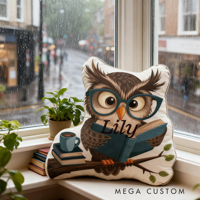 Personalized Bookish Owl Pillow Graphic 3D Print Gift for Reading Lovers