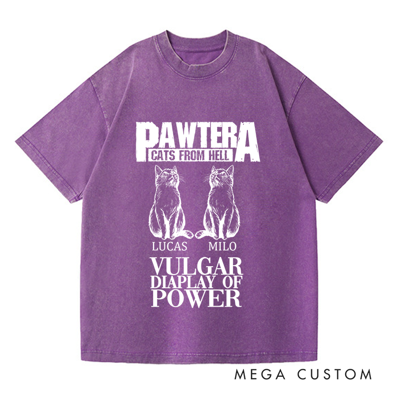 Personalized Washed T-Shirts Pawtera Cats from Hell Vulgar Display of Power T-Shirt