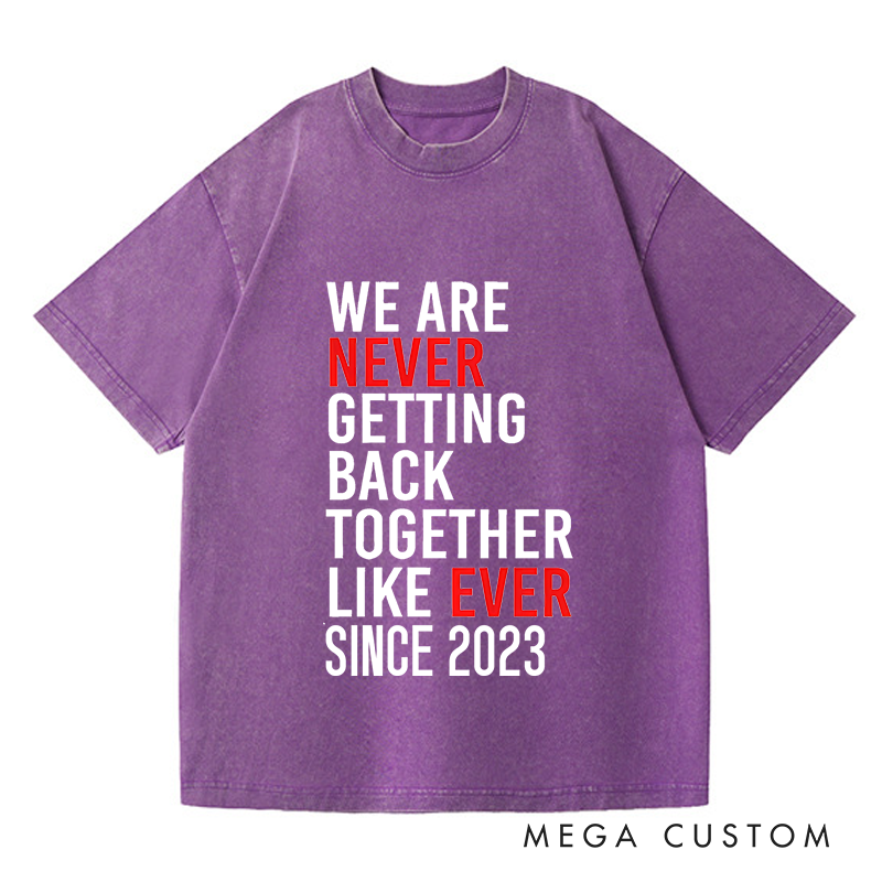 Personalized Washed T-Shirts We Are Never Ever Getting Back Together like Ever Since 2023 T-Shirt