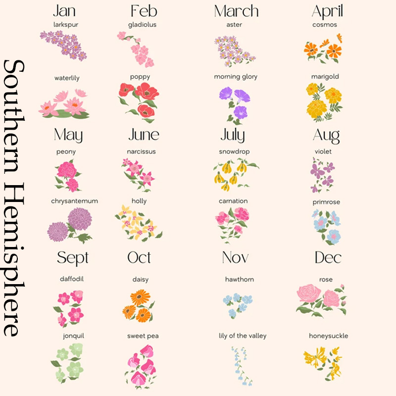 Personalized Minimalist Birth Flower Family Bouquet Wall Art Illustration Birth Flower Poster Without Frame Custom Art