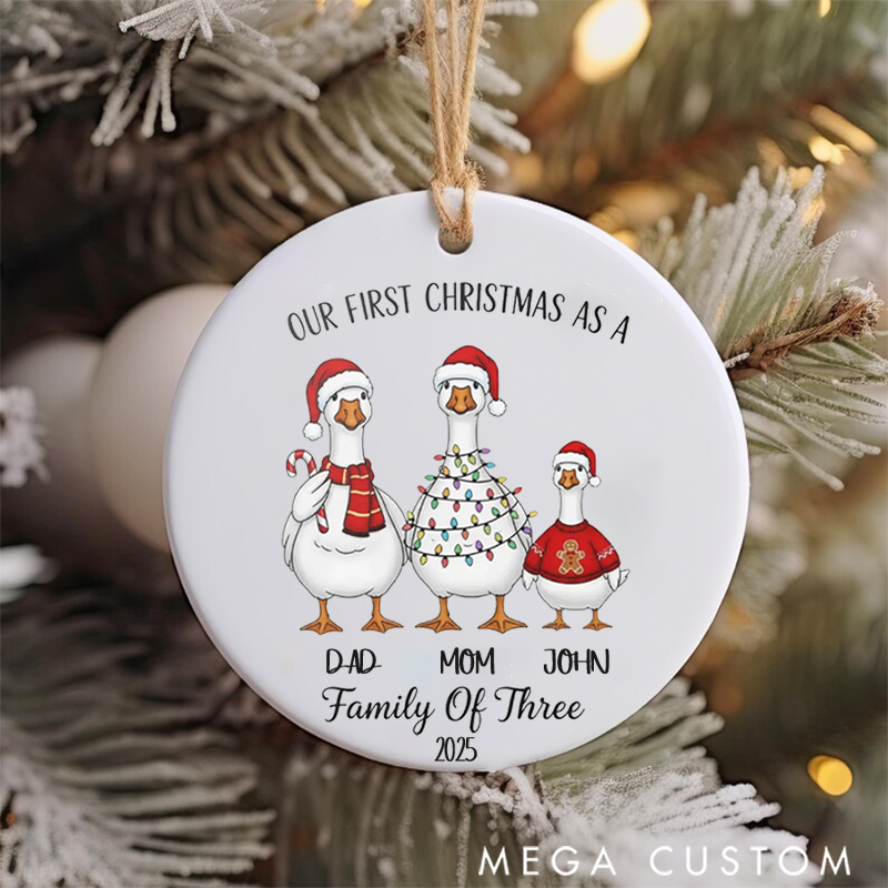 Personalized Family Christmas Ornaments Creating Joyful Memories with Our Festive Goose Family