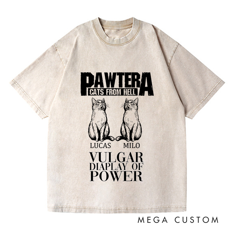 Personalized Washed T-Shirts Pawtera Cats from Hell Vulgar Display of Power T-Shirt