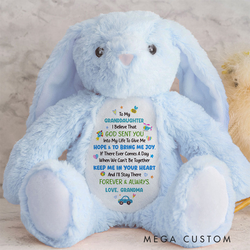 Personalized God Sent You into My Life to Give Me Hope and Joy Cute Rabbit Plush Stuffed Animal Toy with Title Granddaughter Gift from Grandma