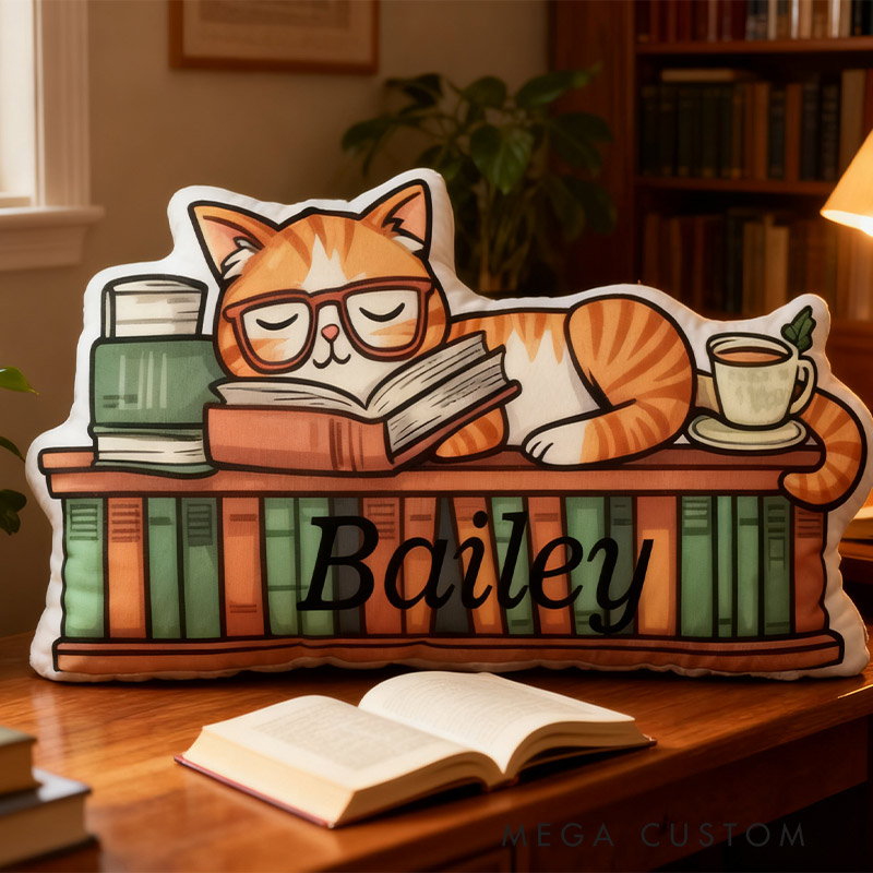 Personalized Catnap Reading Pillow Graphic 3D Print Gift for Reading Lovers