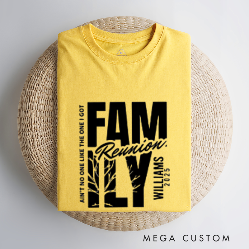 Personalized Custom Ain't No Family Like Ours' Matching Reunion Shirts with Your Family Name Classic T-shirt