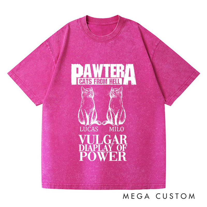 Personalized Washed T-Shirts Pawtera Cats from Hell Vulgar Display of Power T-Shirt