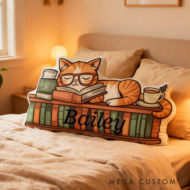 Personalized Catnap Reading Pillow Graphic 3D Print Gift for Reading Lovers