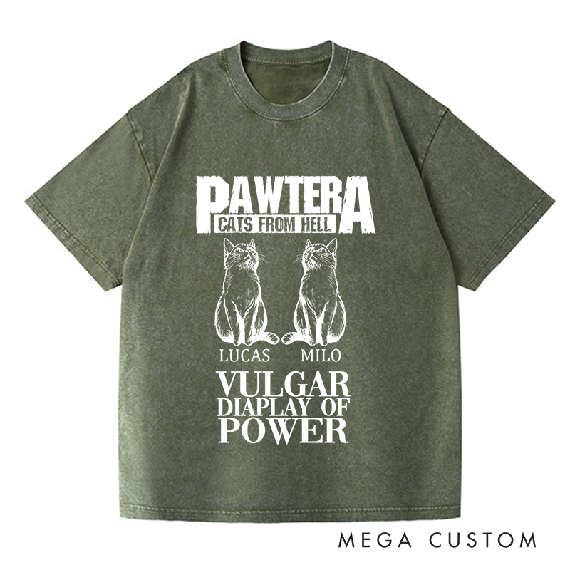 Personalized Washed T-Shirts Pawtera Cats from Hell Vulgar Display of Power T-Shirt