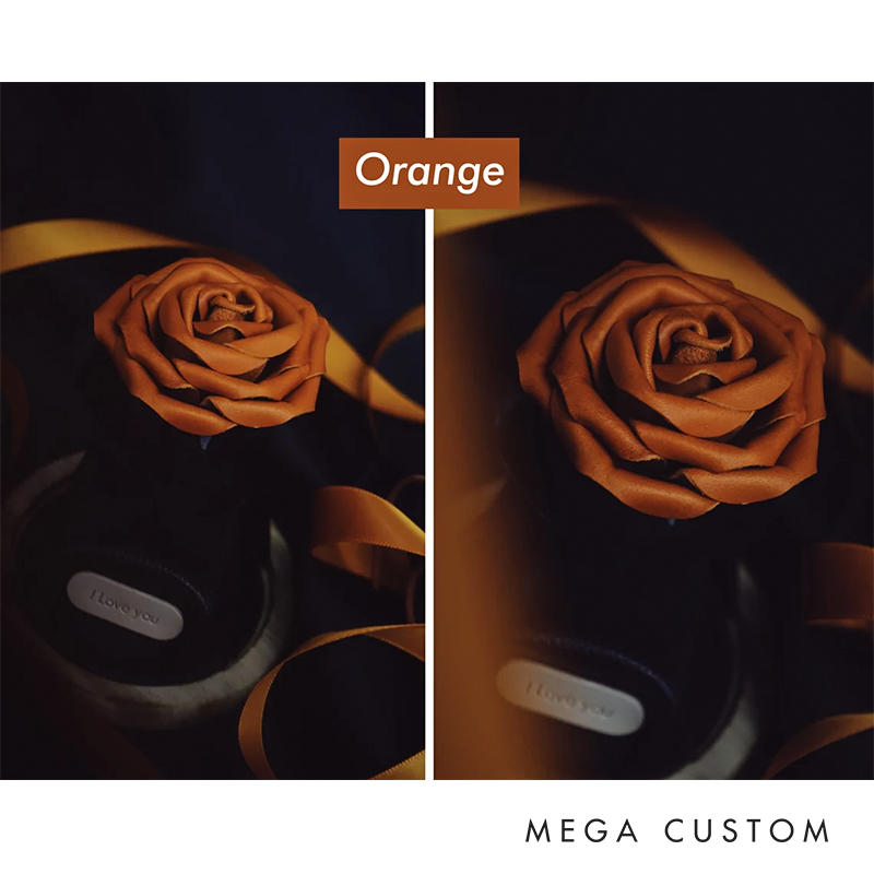 Personalized Leather Forever Rose in Glass Dome Preserved Flower Box Personalized Leather 3rd 5th Anniversary Gifts for Wife Girlfriend Partners Her Him