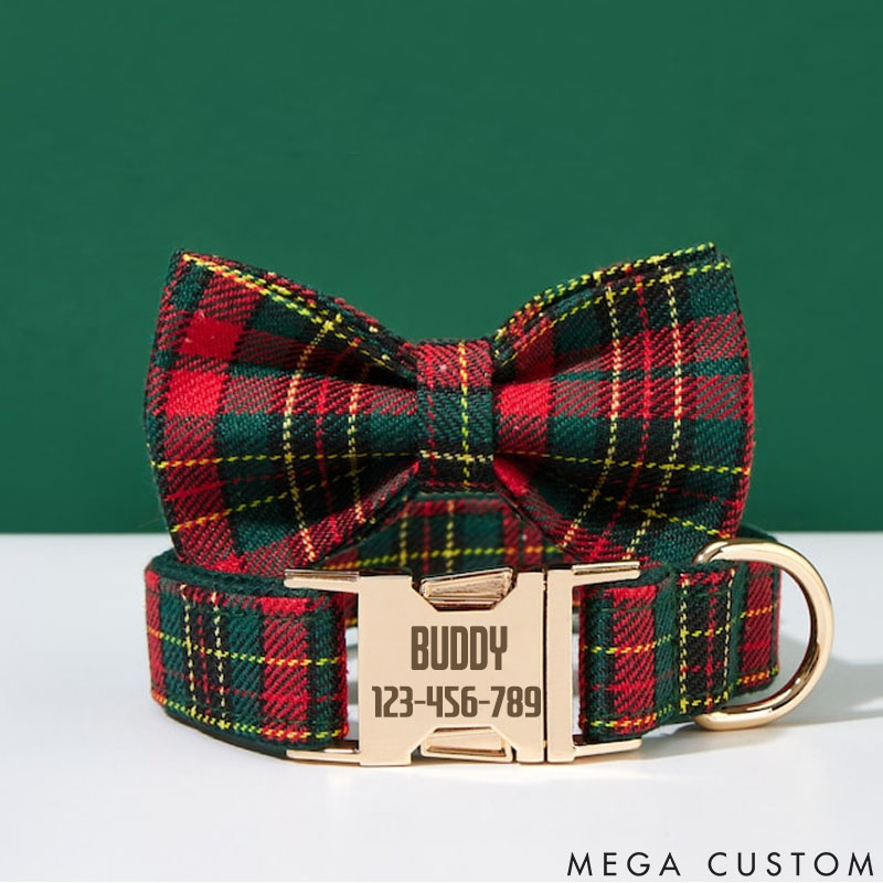 Personalized Dog Lover Engraved with Your Pet's Name BUDDY Design Dog Collar