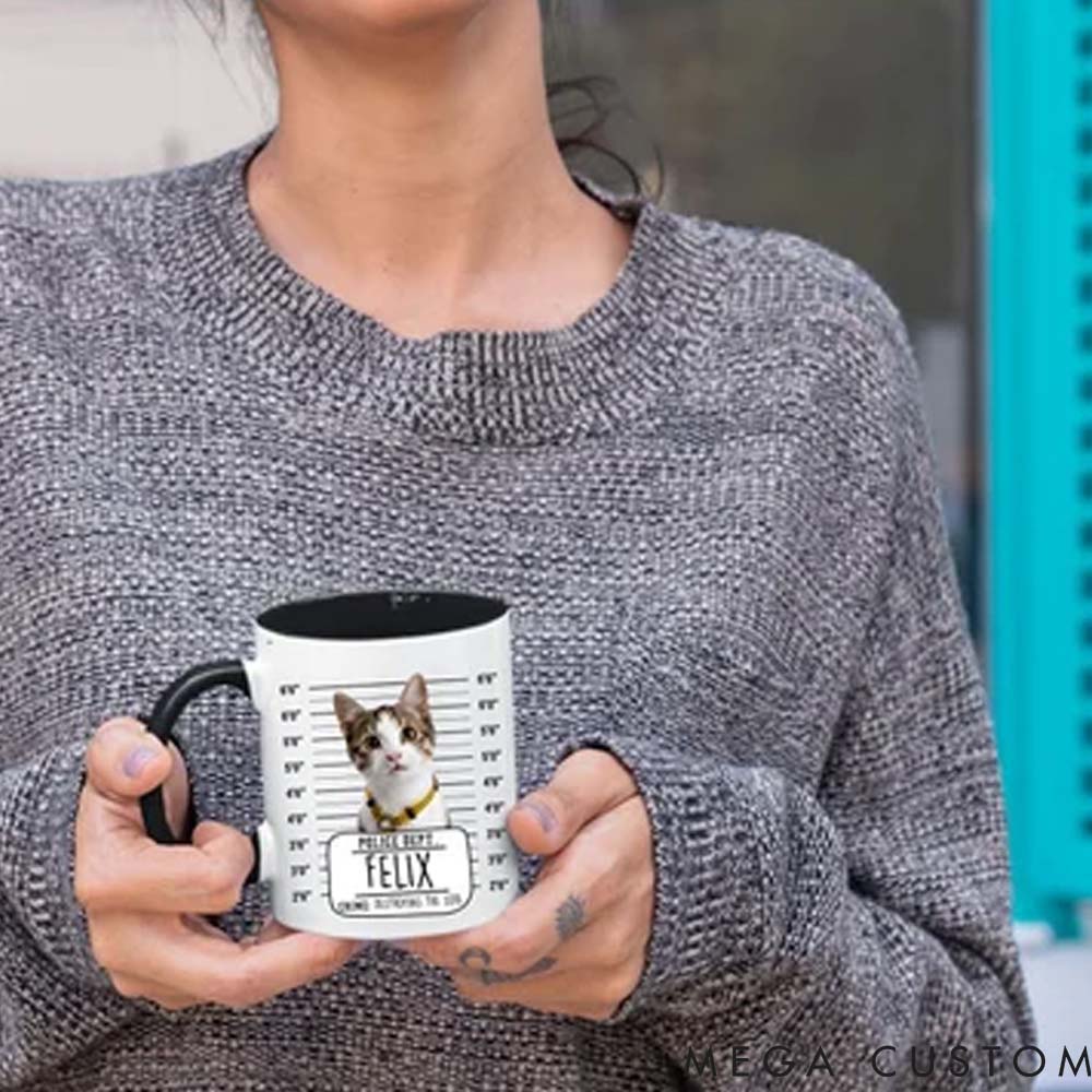 Personalized Pet Lover Funny Custom Pet Portrait Mugs