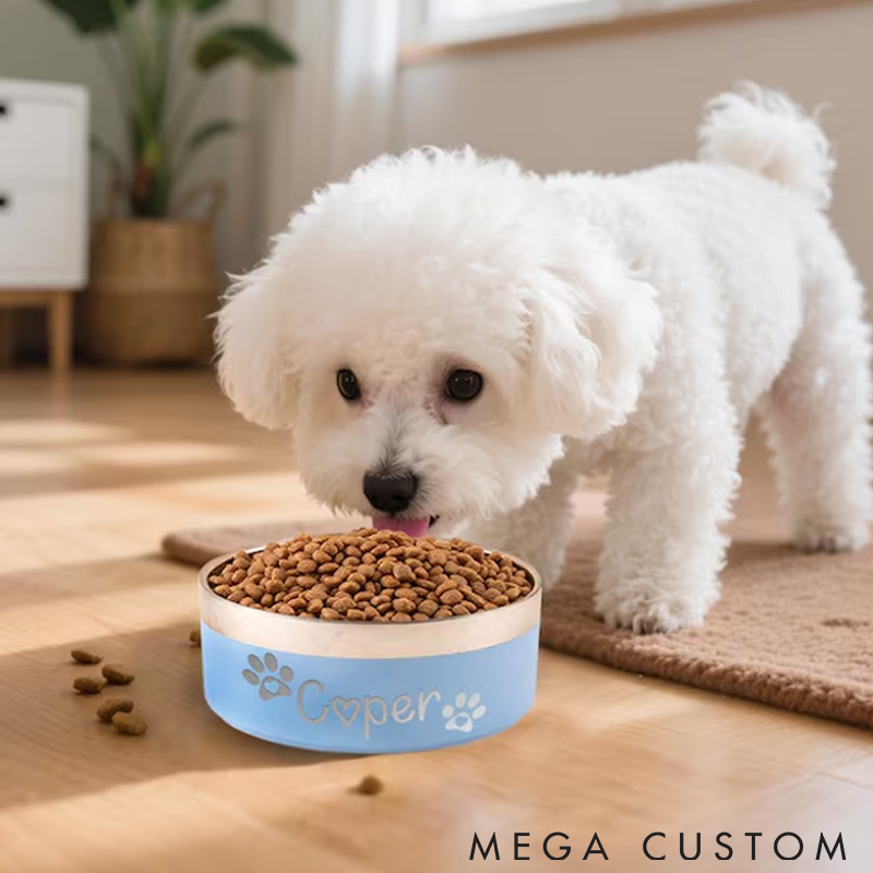 Personalized Pet Lover Custom Pet Bowl with Name Cute Paw Pet Bowl