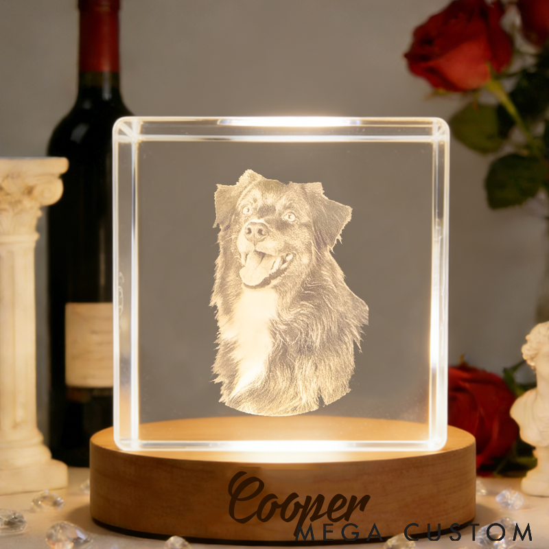 Personalized Pet Lover 3D Crystal Pet Photo Crystal Night Light