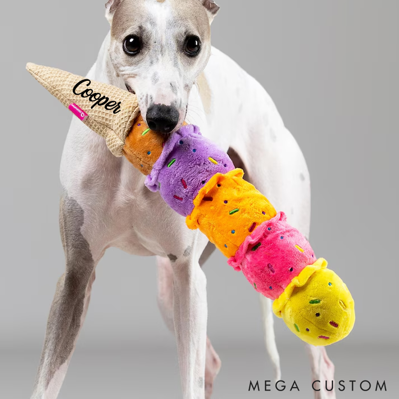 Personalized Dog Lover Squeaky Ice Cream Toy