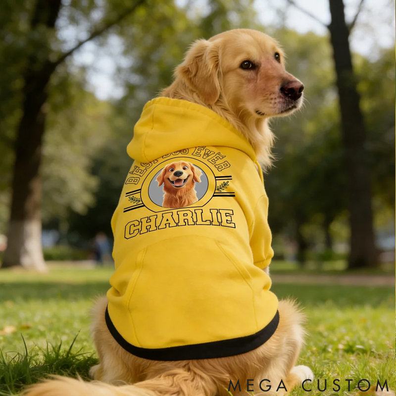 Personalized 3D Cartoon Dog Soft Warm Puppy Dog Hoodie Clothes with Name and Text Birthday Gift for Pet Lover Owner