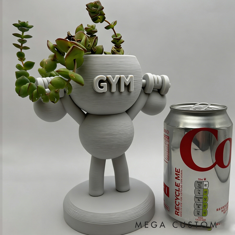 Personalized 3D Printed Kettlebells Succulent Plant Pot Weightlifter Strength Trainer Airplant Succulent Holder Gift for Friends Gym Rat Gym Lovers