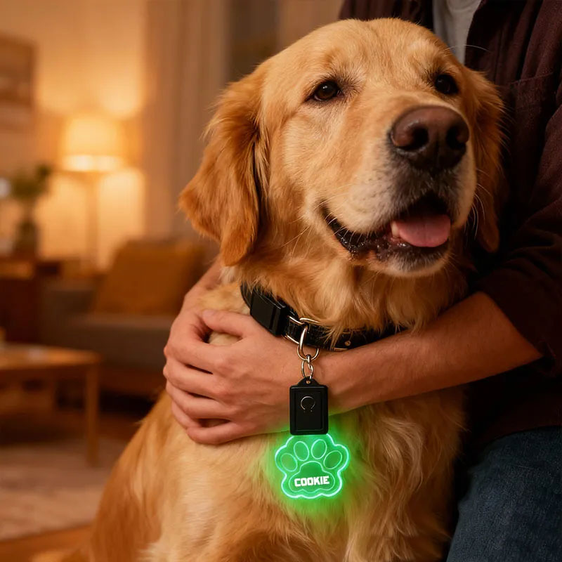 Personalized Paw and Bone Shaped LED Acrylic Dog Collar Tag with Name 7 Light Colors Dogs Safety Night Walking Camping Accessories for Pet Lovers