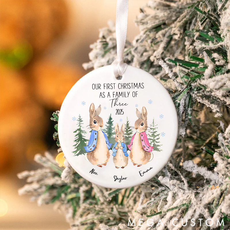 Personalized Our First Christmas as a Family Christmas Ornament Gift for Family