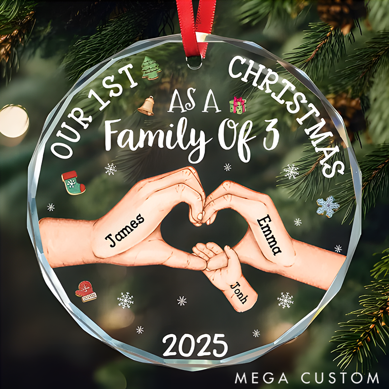 Personalized Family Christmas Ornaments Commemorating Our First Christmas as a Family