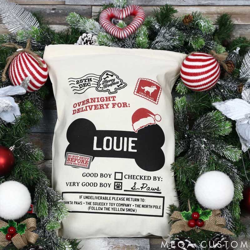 Personalized Dog Lover Overnight Vernight Delivery for Boy Christmas Sack