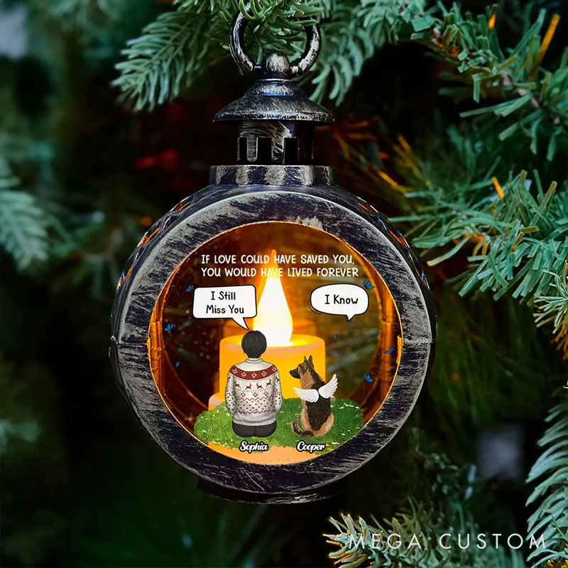 Personalized Dog Lover My Heart was Not Ready to Lose You Christmas Lantern