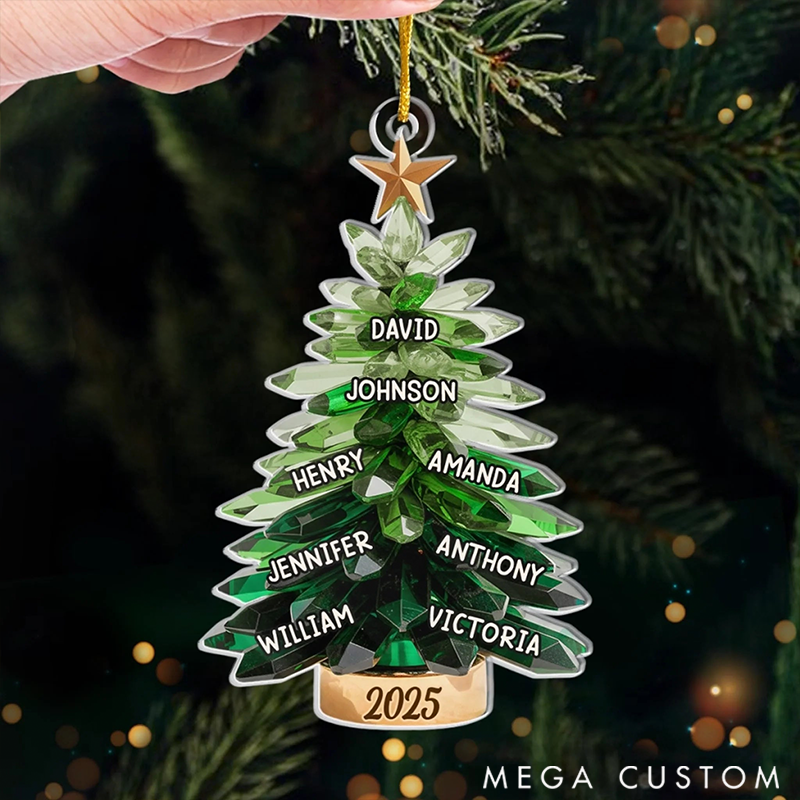 Personalized Family Christmas Ornaments Home Filled With Holiday Cheer