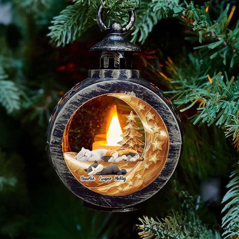 Personalized Cat Lover Beside Pearl of You Christmas Lantern